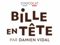 Logo Bille en tête par Damien Vidal